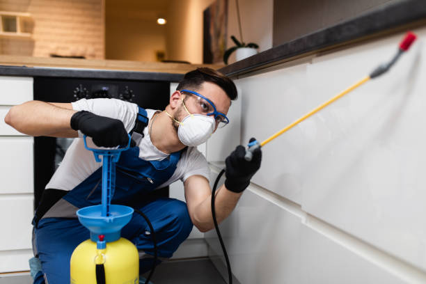 Best Local Pest Control Services  in Mccamey, TX