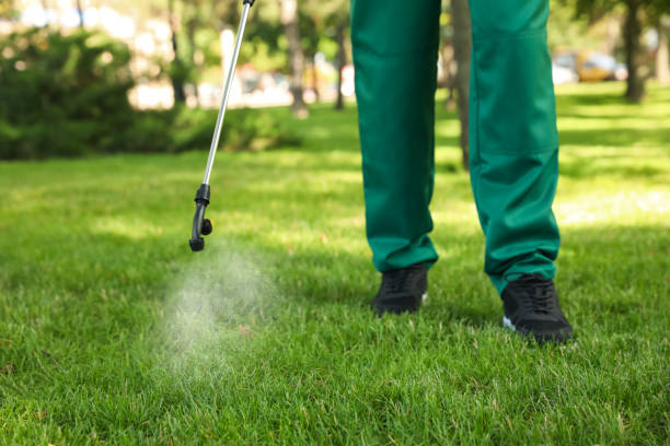 Best Pest Control Near Me  in Mccamey, TX