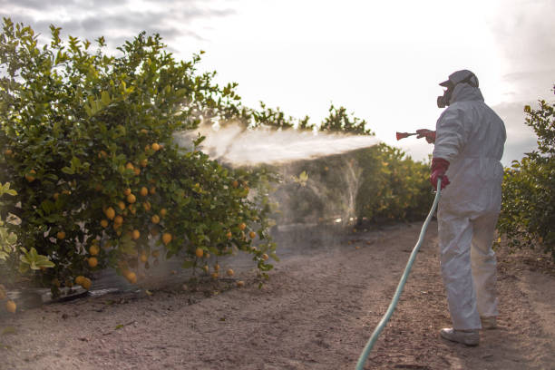 Best Commercial Pest Control Services  in Mccamey, TX
