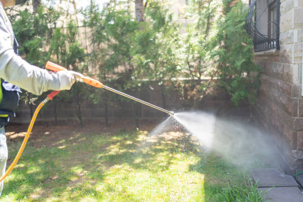 Best Pest Removal Services  in Mccamey, TX