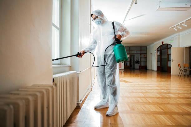 Best Mosquito Control Services  in Mccamey, TX