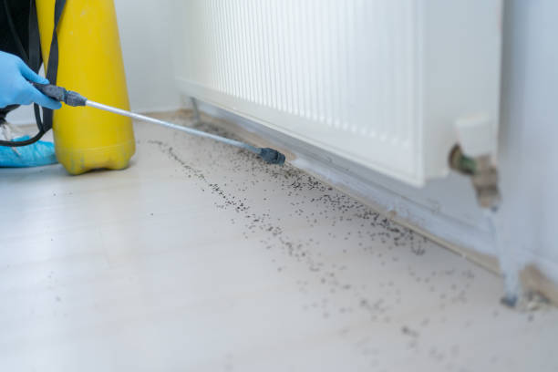 Mccamey, TX Pest Control Company