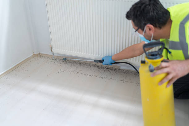 Best Termite Control Services  in Mccamey, TX
