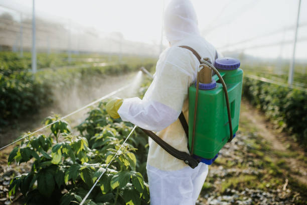 Wildlife Control Services in Mccamey, TX